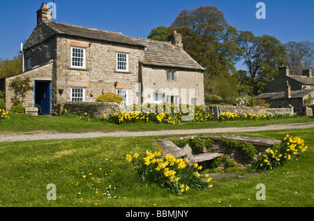 dh Yorkshire Dales National Park CASTLE BOLTON NORTH YORKSHIRE Wensleydale village daffodils seat rustic house uk country cottage Stock Photo