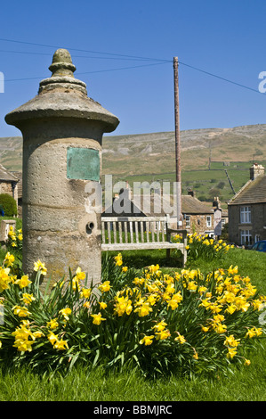 dh  REETH NORTH YORKSHIRE Drinking well Yorkshire Dales National Park village daffodils bench seat water pump spring flowers Stock Photo