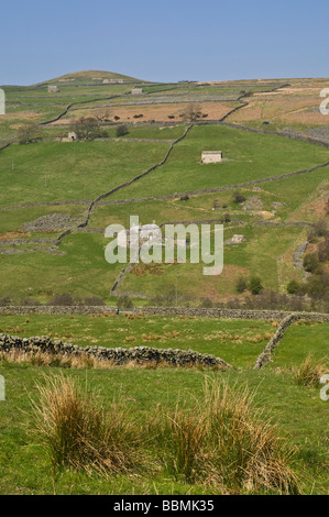 dh Langthwaite ARKENGARTHDALE NORTH YORKSHIRE Yorkshire Dales National Park valley farm cottage and field barn Stock Photo