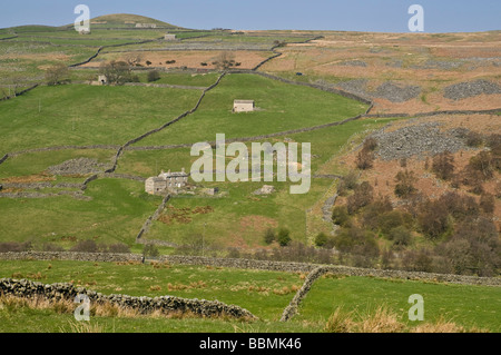 dh  ARKENGARTHDALE NORTH YORKSHIRE Yorkshire Dales National Park valley farm cottage and field barn Stock Photo