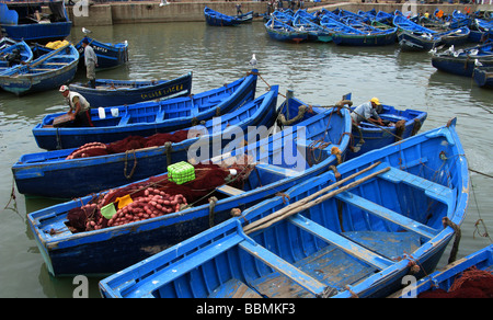 Fishermen, on the harbour, fixing the nets. Sea going fishing vessels in the dock, the blue of the sea reflected in the paint. Stock Photo
