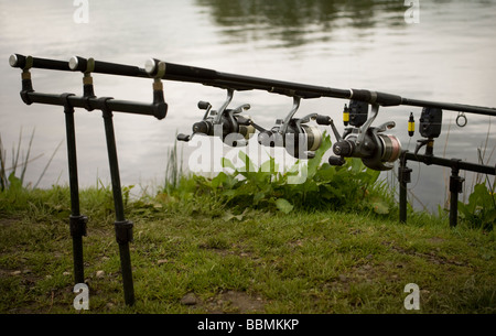 Carp fishing rods with reel set up on support system Stock Photo