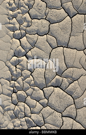 Dried mud puddle with dry cracks and traces of rain drops, Highway 24 at Caineville, Utah, USA Stock Photo
