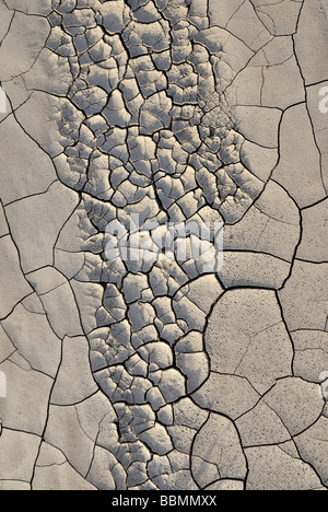 Dried mud puddle with dry cracks and traces of rain drops, Highway 24 at Caineville, Utah, USA Stock Photo