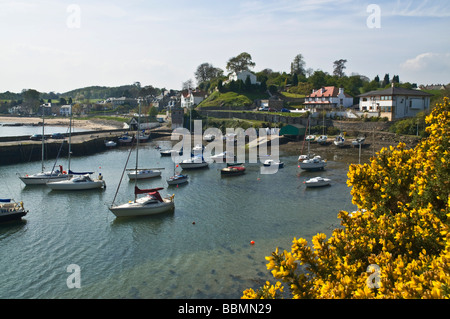 dh Aberdour yachting harbour ABERDOUR VILLAGE FIFE SCOTLAND Yacht Boats in anchorage springtime yachts sailboat harbor Stock Photo