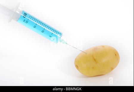 Syringe in potato, symbolic picture, genetically modified foods Stock Photo