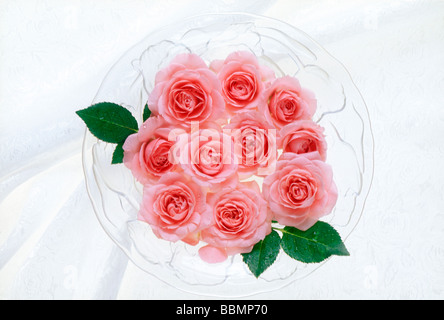 View of pink roses in a bowl Stock Photo