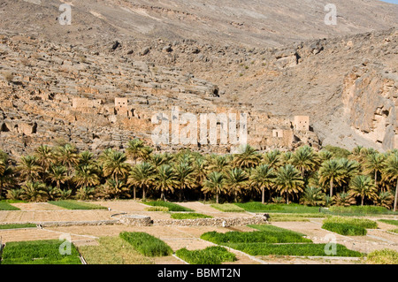 Oman Ghool village and cultures at the start of Wadi Nakhr and Wadi Ghool in the Dhakiliya region Oman Stock Photo