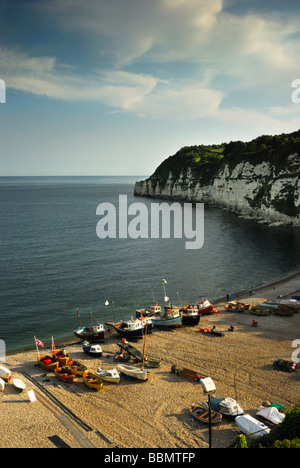 Beer head and beach Devon England UK Stock Photo