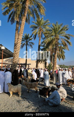 Omani man in traditional dress, livestock or animal market at Nizwa, Hajar al Gharbi Mountains, Al Dakhliyah region, Sultanate  Stock Photo