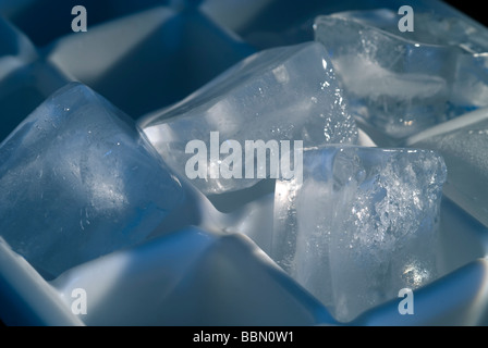 Ice cubes in a tray are seen on Tuesday June 2 2009 Richard B Levine Stock Photo