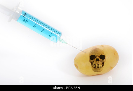 Syringe in potato, symbolic image for genetically modified foods Stock Photo