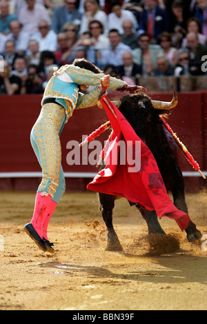 Bullfight in Seville, Spain Stock Photo