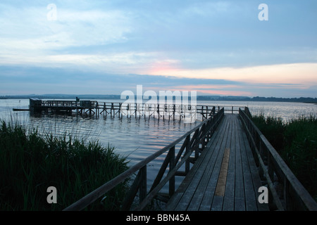 On the Federsee footbridge at Federsee lake before sunrise, nature reserve, district of Biberach, Upper Swabia, Baden-Wuerttemb Stock Photo