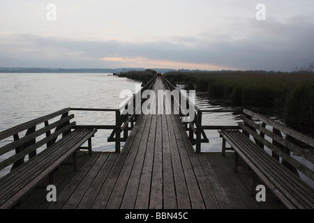 On the Federsee footbridge at Federsee lake before sunrise, nature reserve, with 33 square kilometers the largest bog in southw