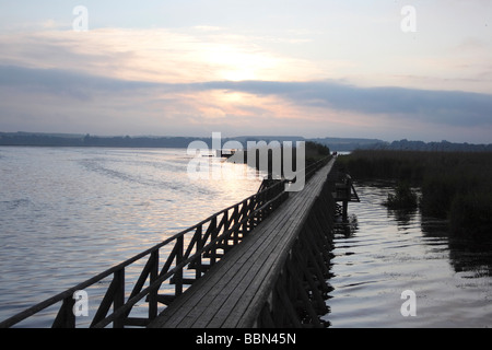 View from the Federsee footbridge on the Federsee lake, nature reserve near Bad Buchau, Upper Swabia, Baden-Wuerttemberg, Germa Stock Photo