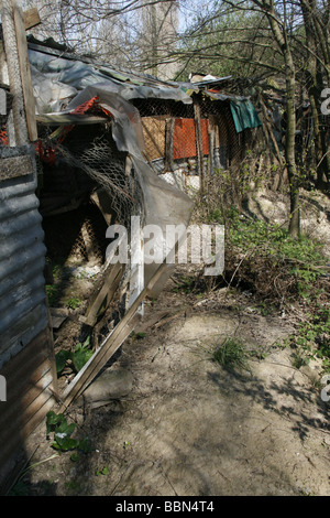 ramshackle makeshift huts in woods in countryside Stock Photo