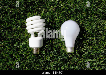 Energy Saving Light Bulb and Incandescent Bulb laying on green grass Stock Photo