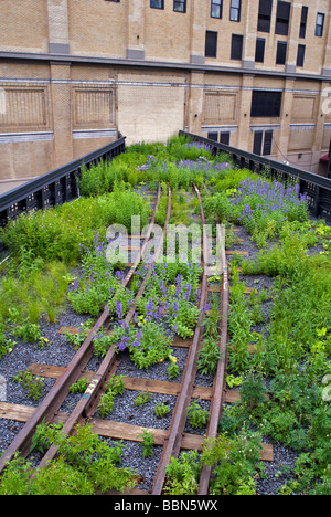 The Northern Spur Preserve at the High Line Park in New York City, USA. © Craig M. Eisenberg Stock Photo