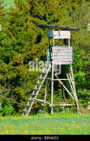 Hunting stand, raised hide at the edge of the forest Stock Photo