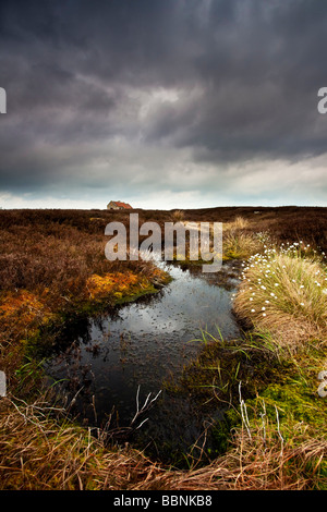 Shooting House Egton High Moor North York Moors National Park Yorkshire Stock Photo