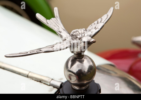 Motoring bird mascot on front of classic 1920s Austin 7 Swallow car first jaguar vehicle Stock Photo