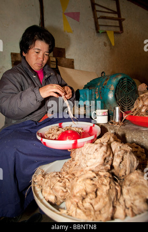 Women Workers stripping  fibers at Jungshi Handmade Paper Factory in Thimphu Bhutan, Asia 91022 Bhutan-Thimphu Stock Photo