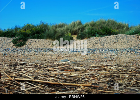 Layers, with hay, sand, rocks, grasses and blue sky Stock Photo