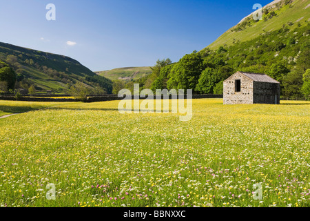 Stone Barns and Wildflower Meadows Near Muker Swaledale Yorkshire Dales National Park Stock Photo