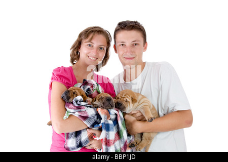 young couple with Shar Pei baby dogs almost one month old isolated Stock Photo