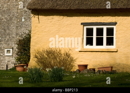 Thatched cottage in Merthyr Mawr, Ogmore Vale, Bridgend, South Wales Stock Photo