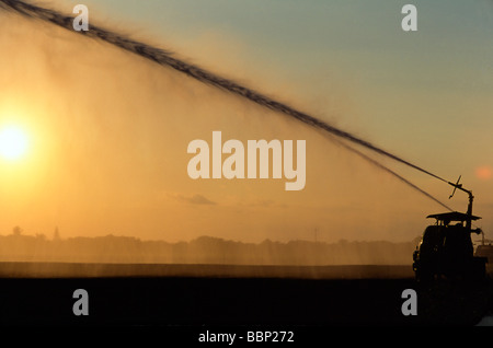 Crops in field,tractor in fields, crops in rows, farm worker. Stock Photo