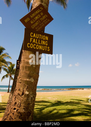 Caution Falling Coconuts sign at Salt Pond Beach Park on Kauai Hawaii USA Stock Photo