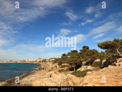 Palma Mallorca Stock Photo