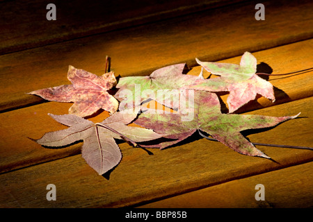 Autumn leaves on wooden deck Stock Photo
