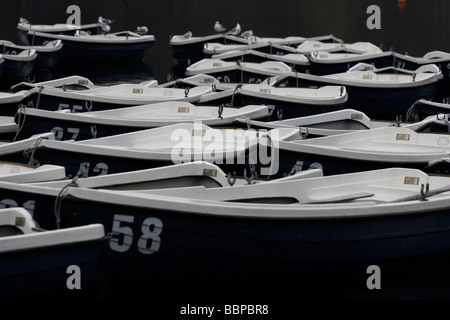 Row boats for hire on a lake in london Stock Photo