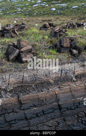 Cut Peats on moorland, Isle of Harris, Outer hebrides, Scotland Stock Photo
