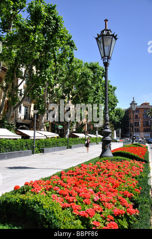 Avinguda d'Antoni Maura, Palma de Mallorca, Mallorca, Balearic Islands, Spain Stock Photo