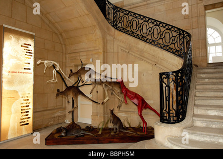 STAIRWAY OF THE MAIN ENTRANCE, MUSEUM OF NATURAL HISTORY, LE HAVRE, SEINE-MARITIME (76), NORMANDY, FRANCE