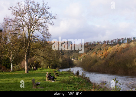 Autumn in the Forest of Dean 2008 England UK Stock Photo