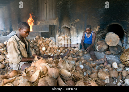 Boys remove the dried meat called copra from the coconut shell Quelimane Mozambique Stock Photo