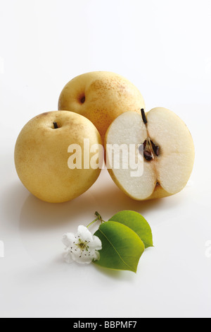 Nashi Pears and blossoms (Pyrus pyrifolia) Stock Photo