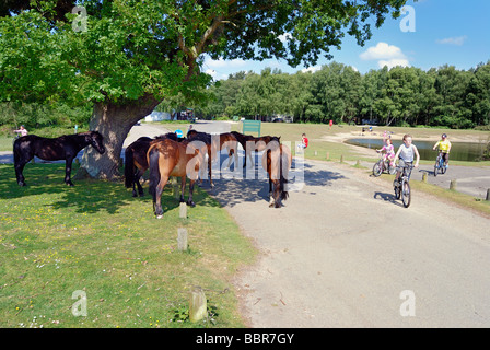 Children cycling past horses at a campsite in the New Forest Stock Photo