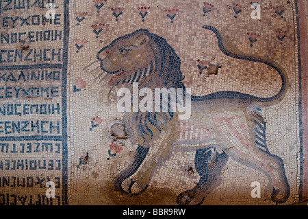 Ancient Greek inscription and a lion on the Hellenistic mosaic floor belonging to the Hammat Tiberias Synagogue on the outskirts of Tiberias Israel Stock Photo