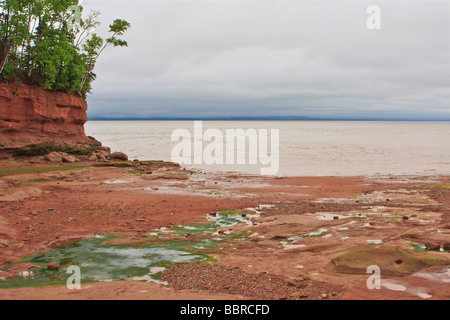 Burncoat Head Park - Bay of Fundy, Minas Basin, Burncoat Head, Nova Scotia, Canada Stock Photo