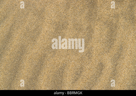 Close up of yellow sand ripples and patterns Stock Photo