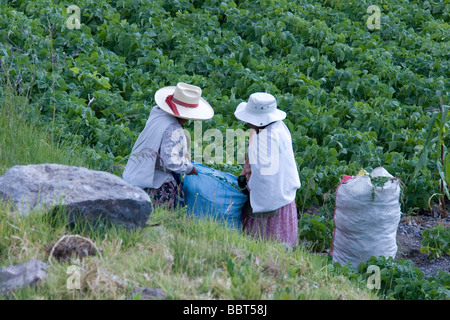 Arequipa Valley Stock Photo