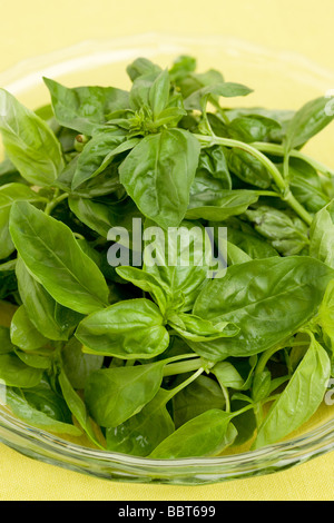 Uncooked spinach in a bowl Stock Photo
