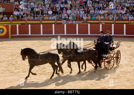 Concurso Nacional de Enganches Fair of Fuengirola Malaga Sun Coast Andalusia Spain Stock Photo