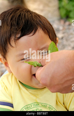 Smelling peppermint Stock Photo